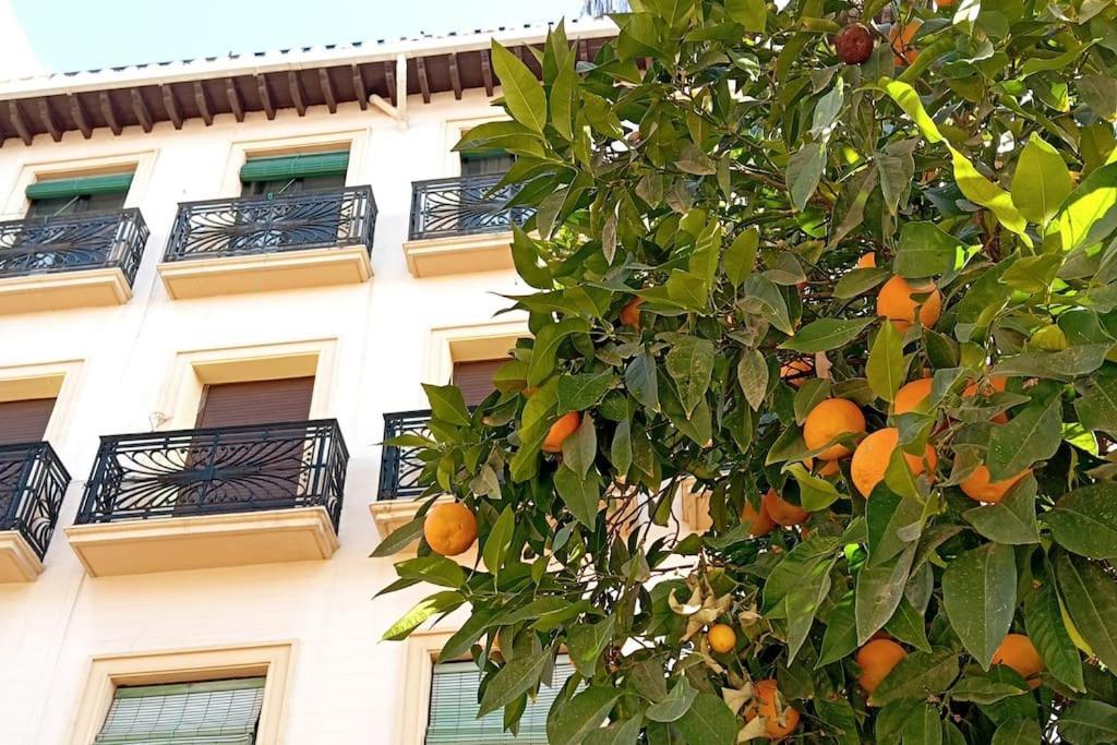 Large Family Home In Albaicin Center Granada Exterior photo